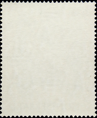  1973  .   (Pelecanus occidentalis) 5  .  1,40 .